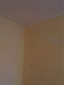 A picture of Chumba mastar