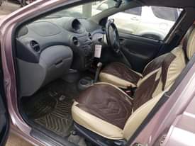 A picture of Vitz