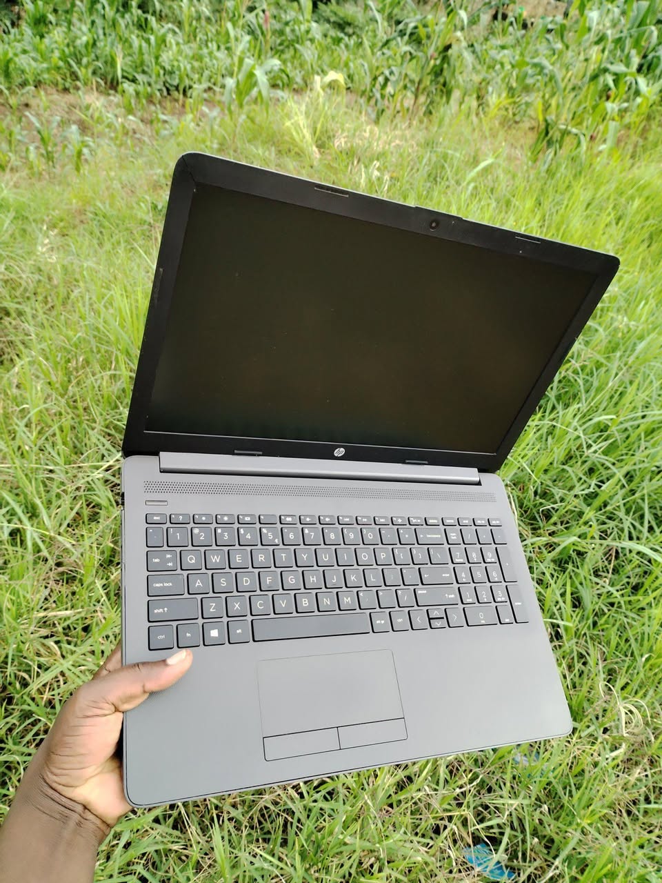 hp laptops