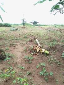 A picture of 2 Acres Lake land Agreement Sale touching Lake Victoria Waters