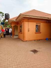 A picture of House 