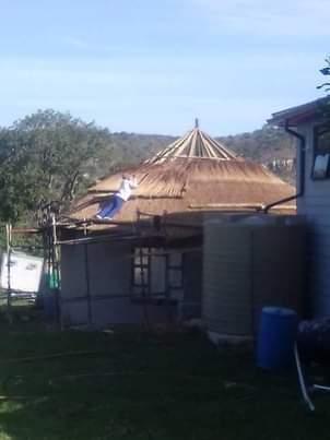 Mpinga M.