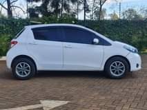 David N.