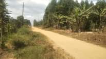 A picture of Plot in namayumba hoima rd on quick sale