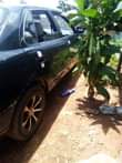 A picture of 1986 Toyota Camry First body