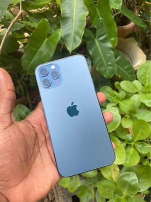 iPhone M.