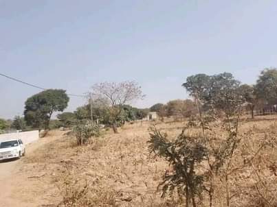 ibex hill