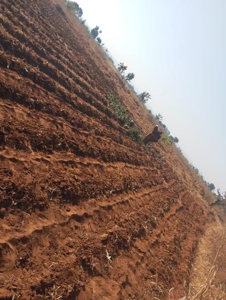 A picture of LAND FOR SALE SIZE 9 ACRES 0989849411