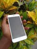 A picture of IPHONE 8 PLUS