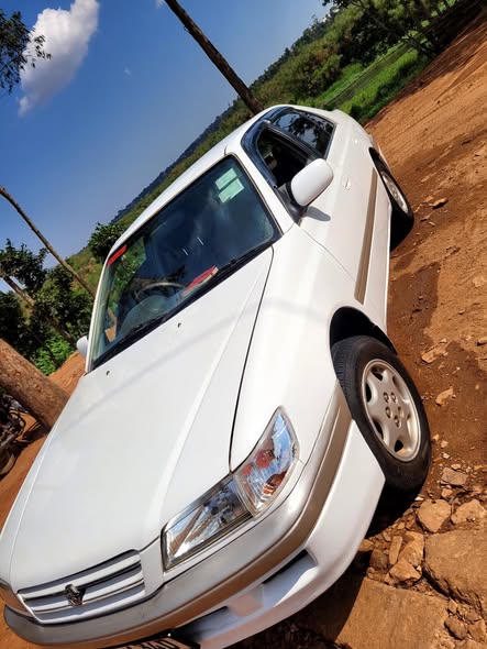 A picture of Toyota premio