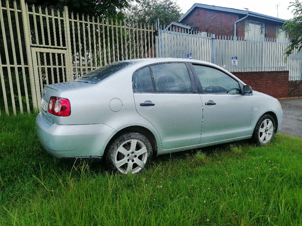 polo vivo