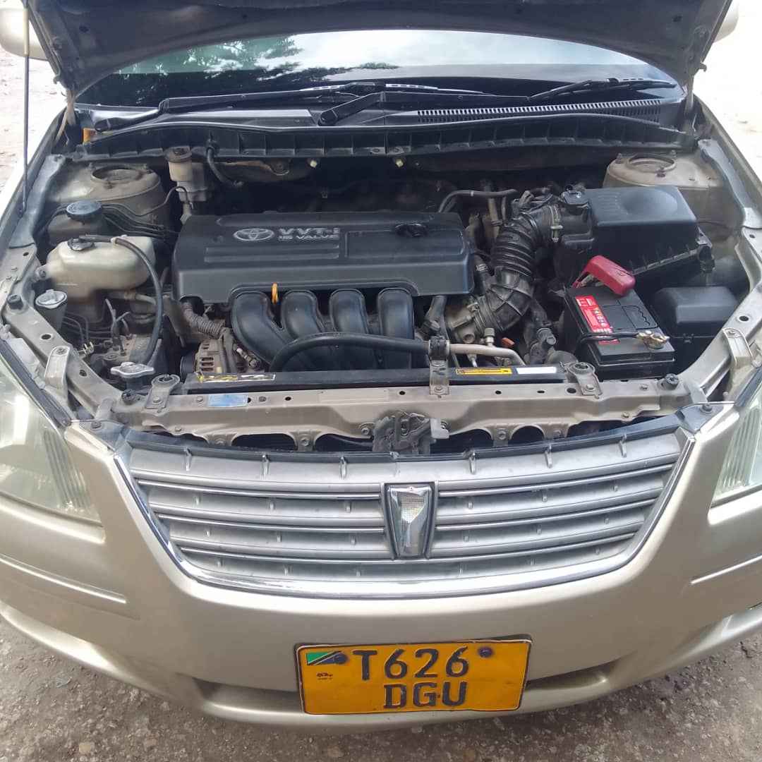A picture of Premio new model