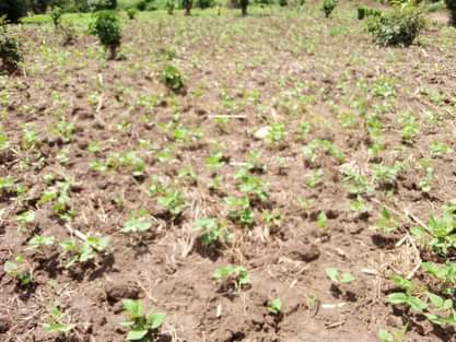 A picture of Residential plots for sale