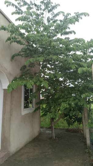 A picture of Eneo lenye nyumba mbili boma ng ombe KILIMANJARO linauzwa