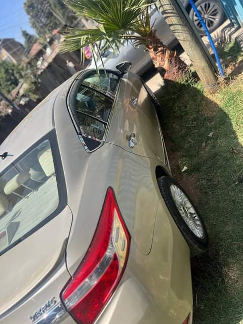 cars