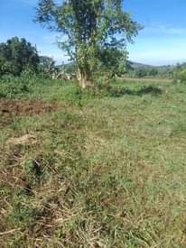 A picture of 100 by 100 ft tarmac prime plot for sale along