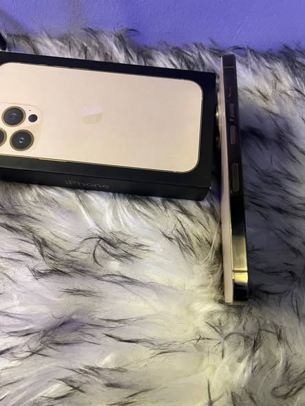 A picture of Iphone 13pro