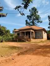 houses kireka