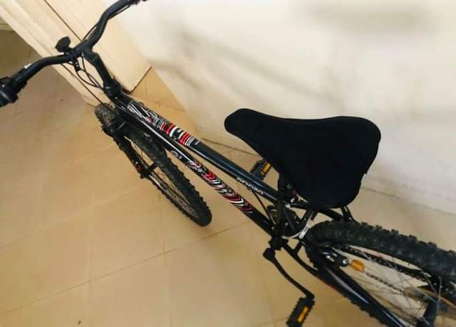 A picture of MOUNTAIN BIKE