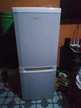 A picture of Nauza nauza