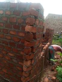 A picture of 50 100 plot