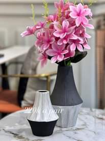 A picture of Vases