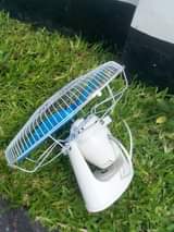 fans