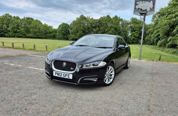 jaguar
