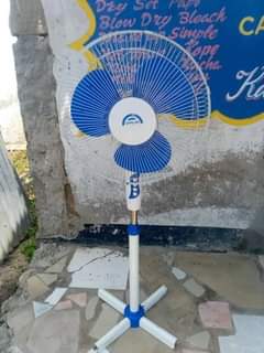 fans