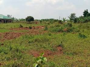 A picture of MATUGGA KITANDA KILYAMULI PLOT FOR SALE 0703900684 20 by 30