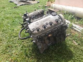 Chavani D.