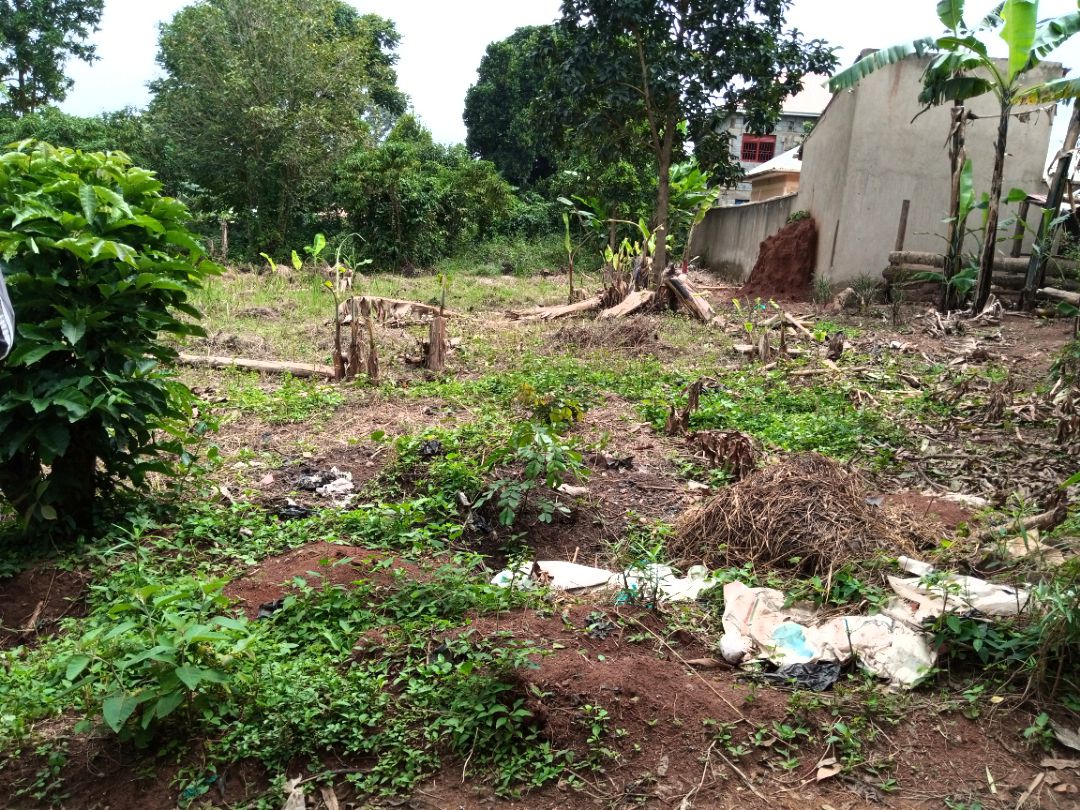 A picture of Plot on sale 100by100 at 78m few meters from Kiwenda
