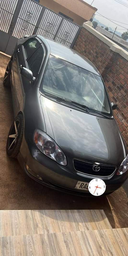 used toyota corolla