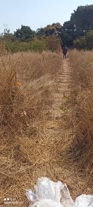 Lilongwe C.