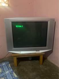 A picture of Alex2561
