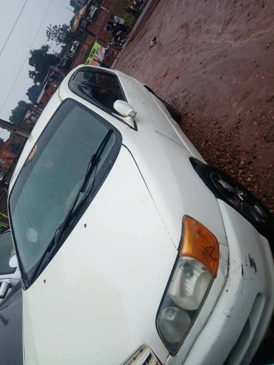 toyota ipsum