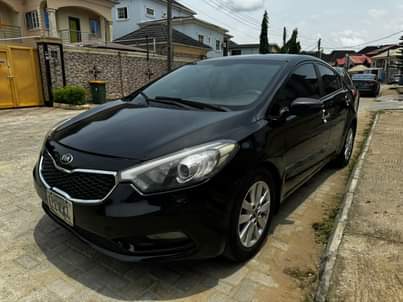 A picture of cerato