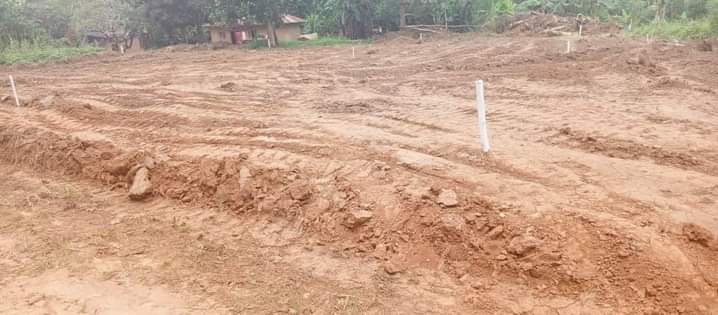 A picture of Rental plots