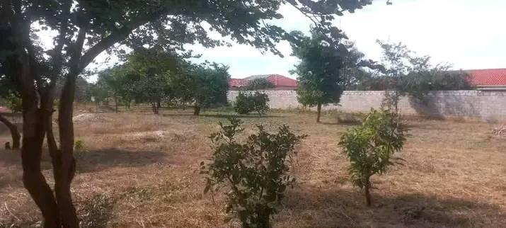 zambia plots