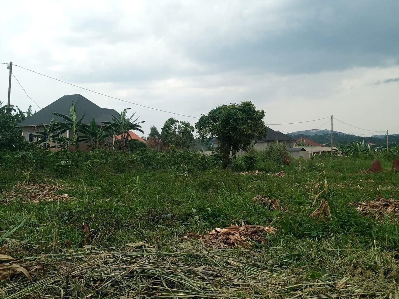 A picture of Plots of Land
