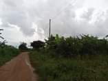 A picture of Matugga migadde 100 by 100 ft at 18 m shs