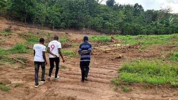 A picture of TITLED PLOTS AT WAKISO GOBERO ESTATE