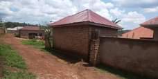 A picture of Kawanda kilinyabigo