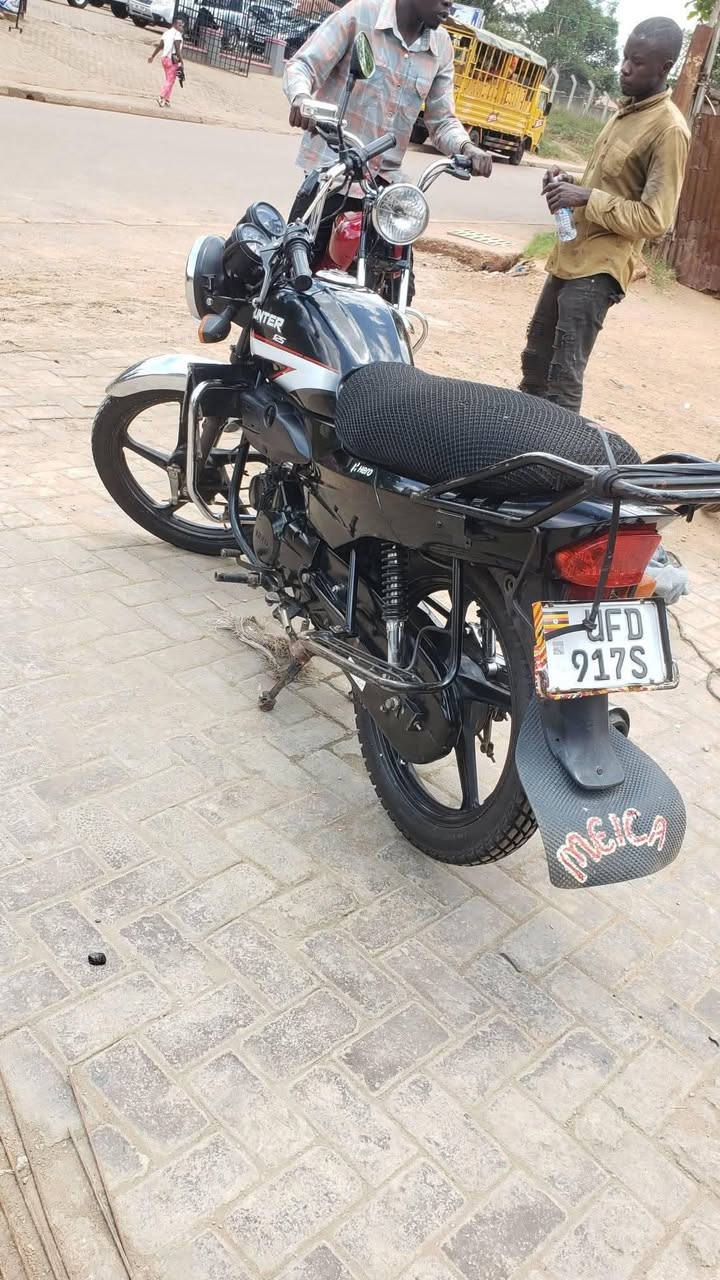 motorbikes