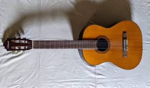 guitar