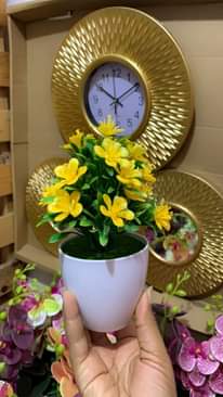 A picture of Maua na vase ake