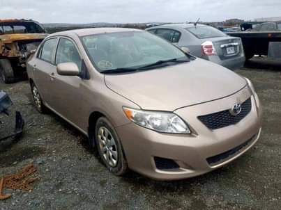 A picture of Toyota Corolla LE 2010