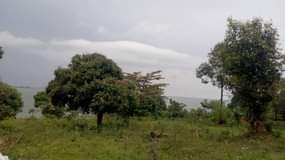 Sulaiman H.