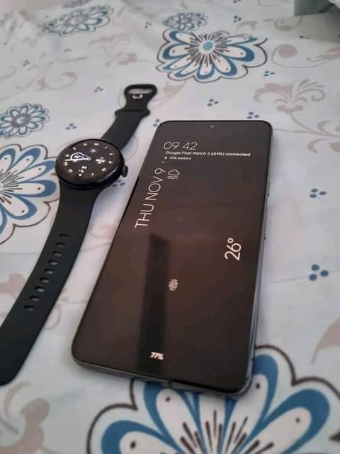 A picture of Pixel 8 pro