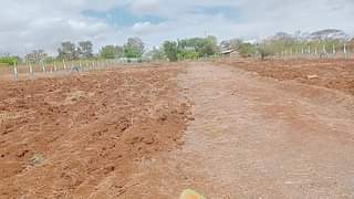 makutano plots